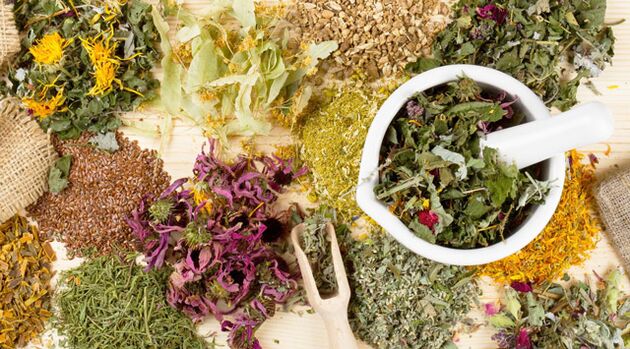 Plantas medicinales que ayudan a combatir la diabetes